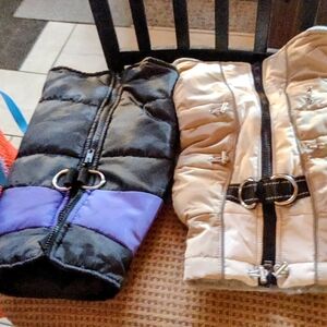 Black and Cream Dog Jackets with Buckle Detail